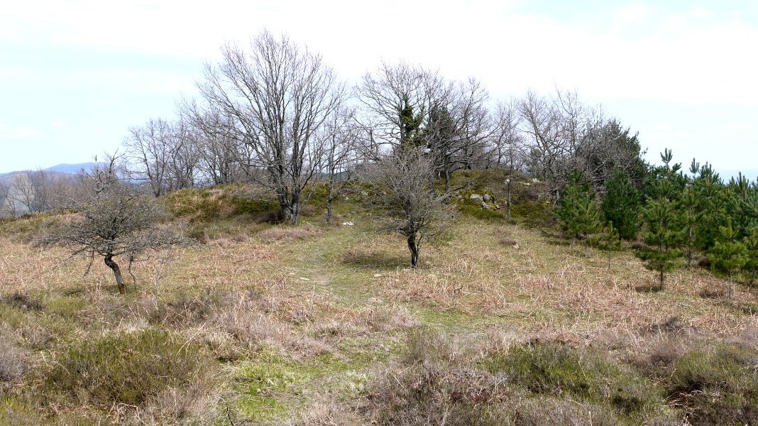 Beste muino harritsu bat Armuñoko bidean