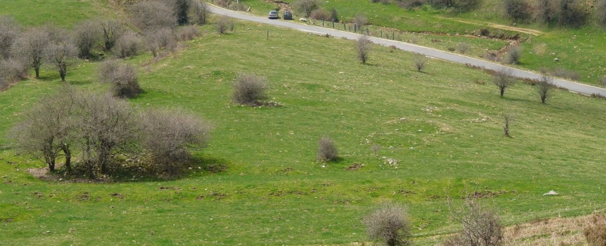 Zubimearreko errekako etxola hondoak