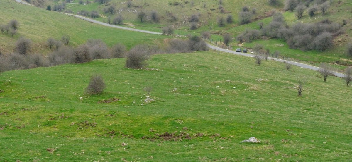 Zubimearreko errekako etxola hondoak