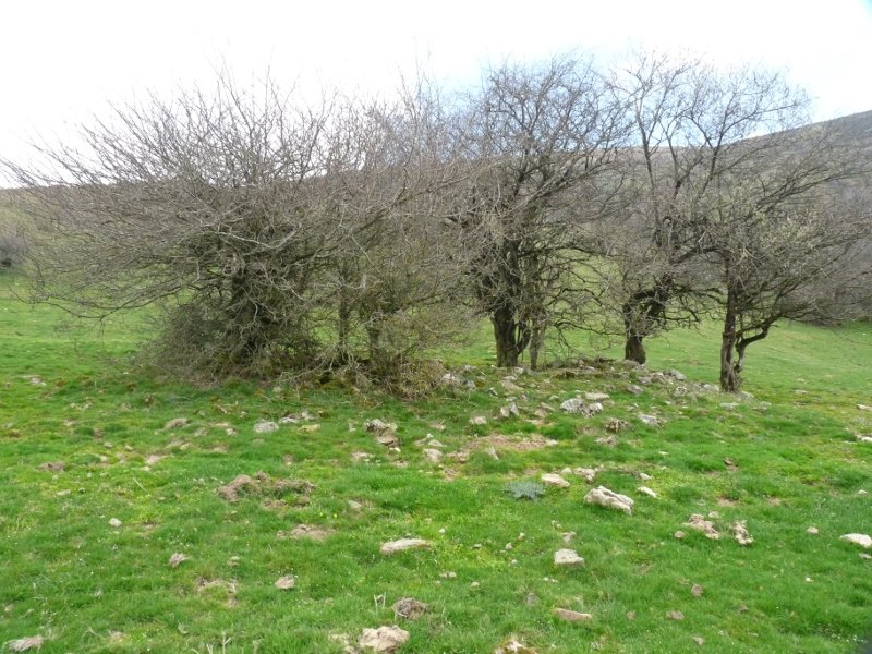 Zubimearreko errekako etxola hondoak