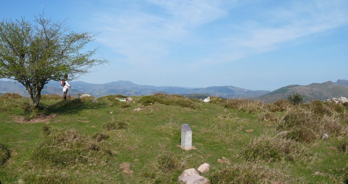 Maiko Gaña trikuharria