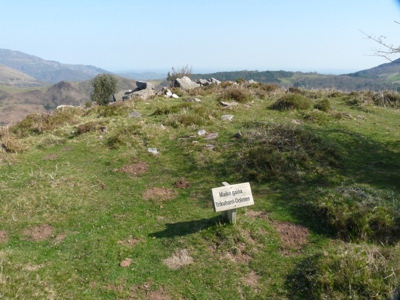 Maiko Gaña trikuharria