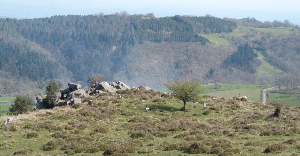 Maiko Gaña trikuharria dagoen terraza, Orizkiko gailurretik