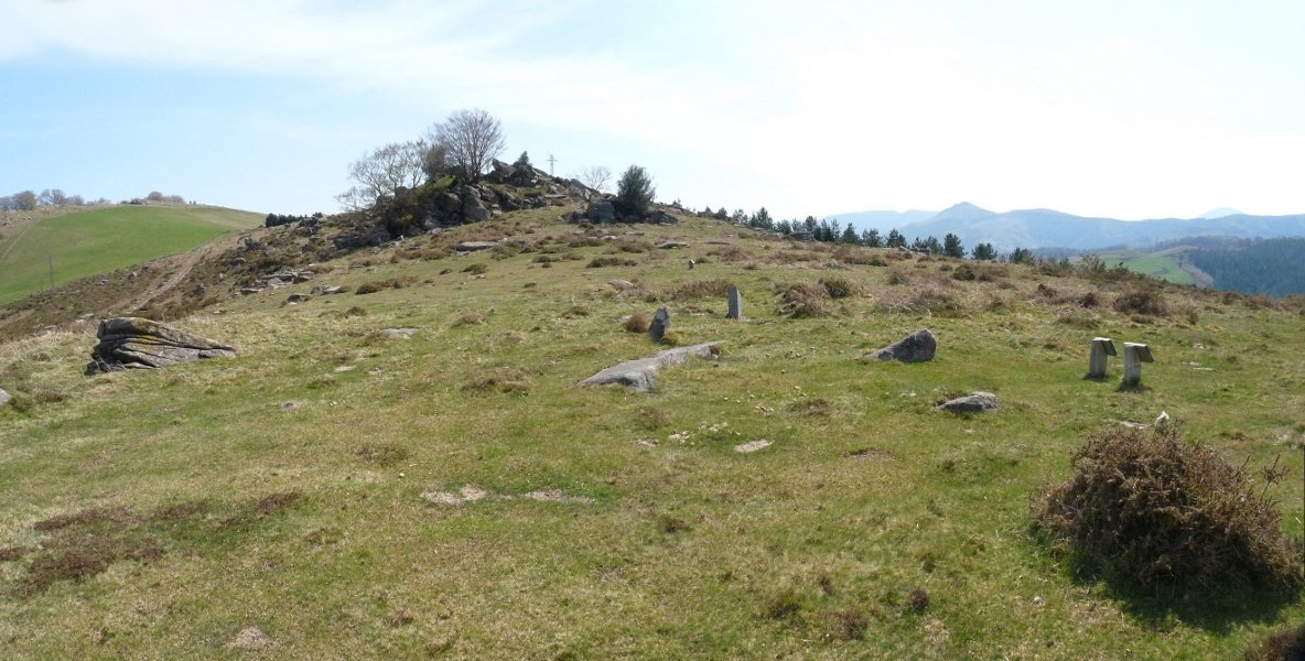 Pagolletako zutarria eta harrespilal