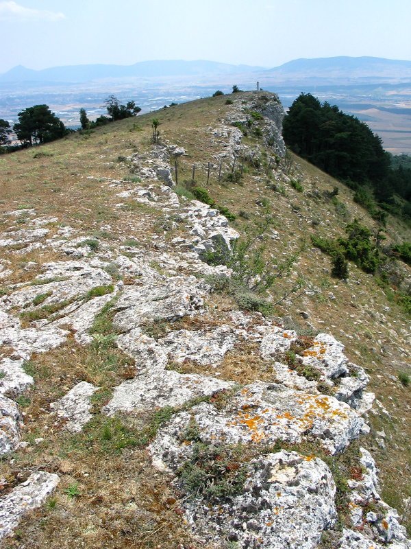 Gailurraren ikuspegia Itik