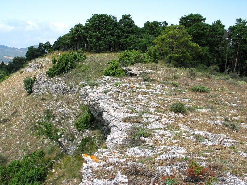 Tontorraren inguruak