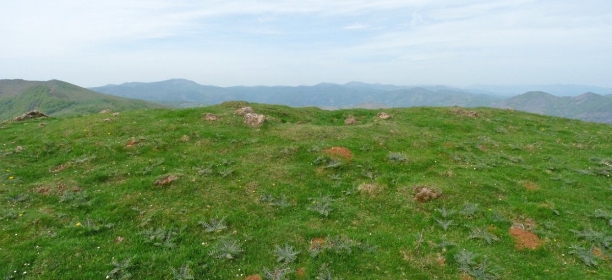 Adartza eta Mendimotxa arteko lepoan