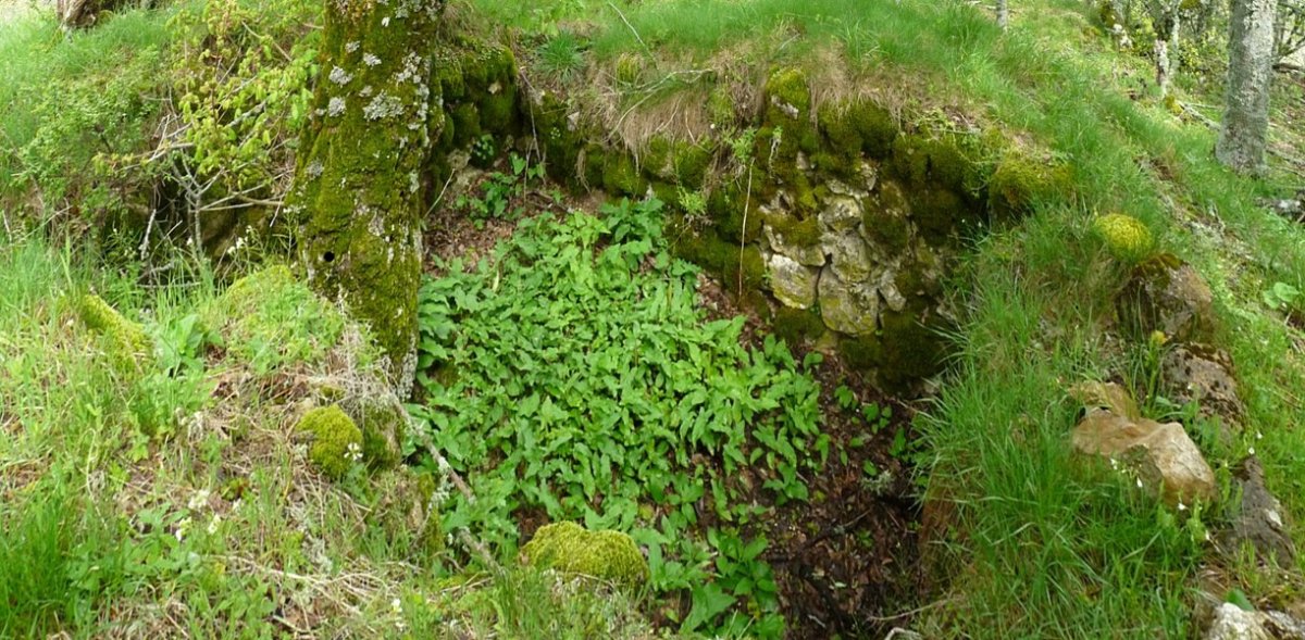 Dorrearen aztarnak gailurrean