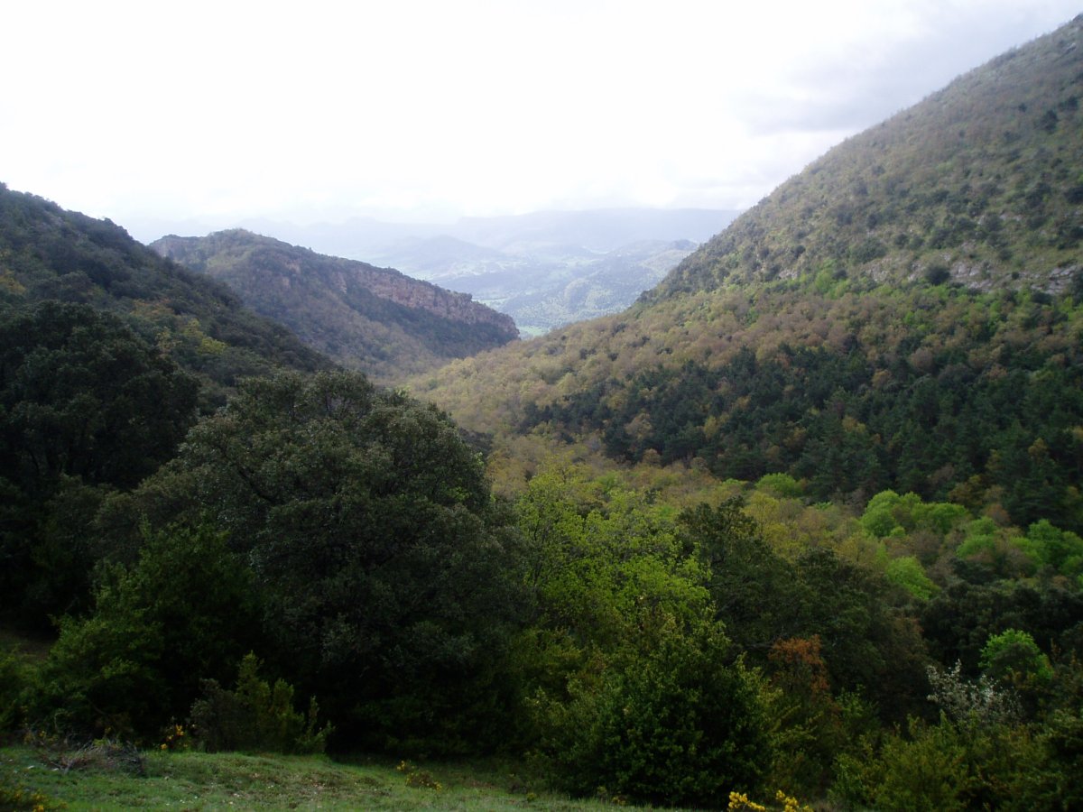 Pilonas gainetik ekialdera