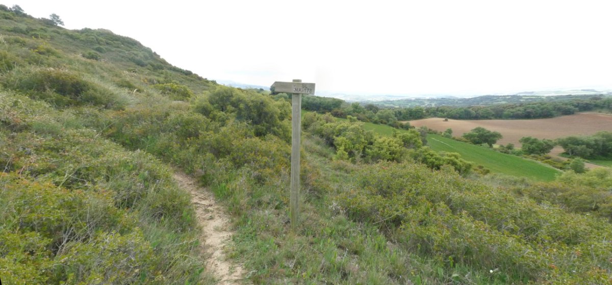 Ibilbide baten adierazgarria