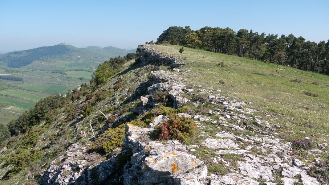 Tontorretik Iparraldeko bizkarrari begira