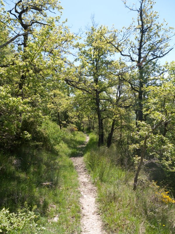 Oteitza aldeko bidea