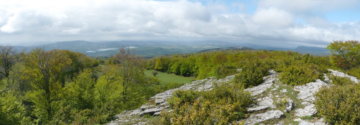 Gora egin ahala pago eta larreak nagusitu