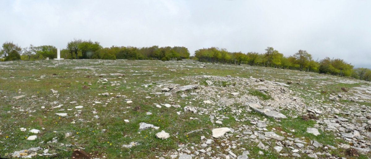 Mugagako gailurreko eraztun tumulua