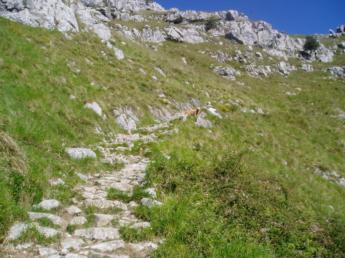 Cubillas del Airerantz