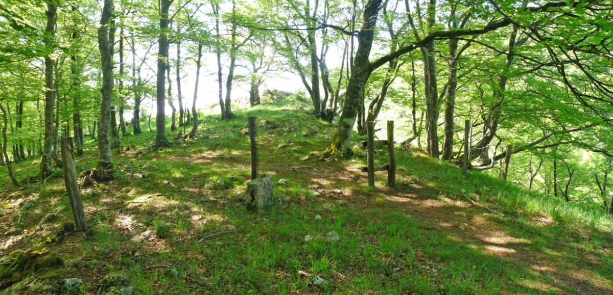 Ataka, Artolako gainetik hurbil