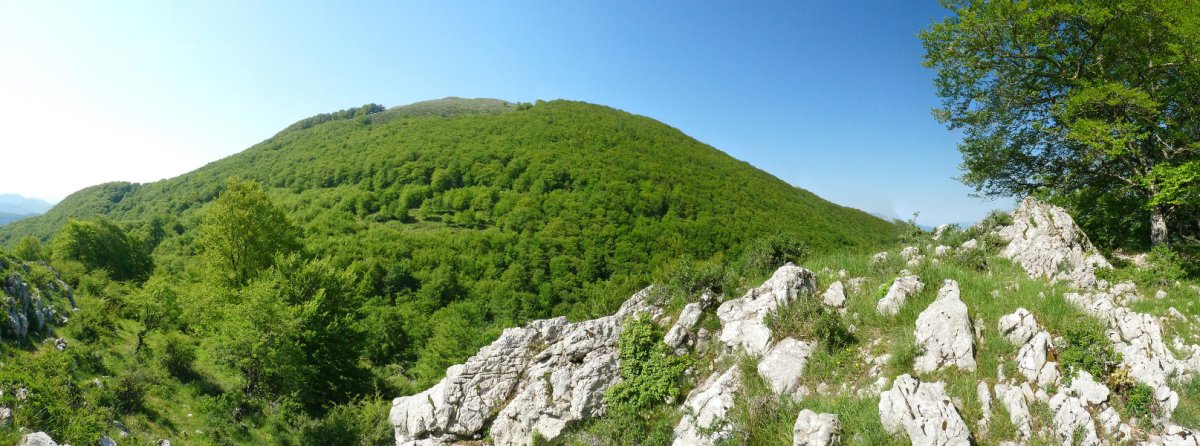 Artolako gailurra eta Erga