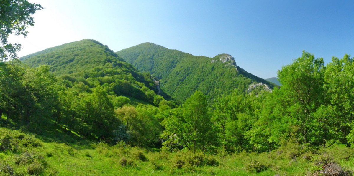 Artola, Erga eta Mundumalkorra Argaindik