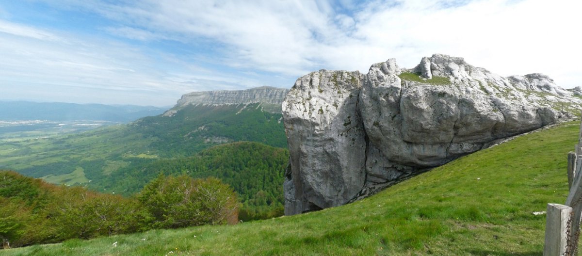 Aitzorrotzeko gandorra