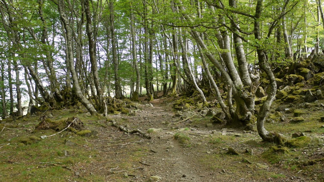 Bizkarreko bidea Baztanibar aldean
