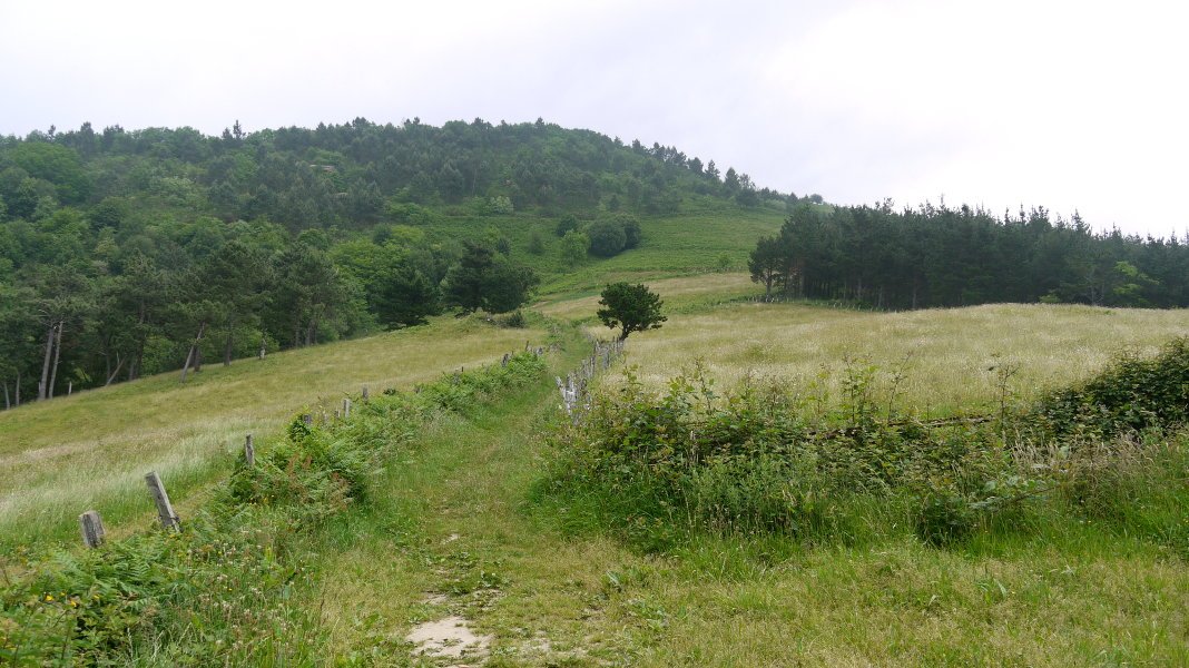 Aganduru aldeko bidea