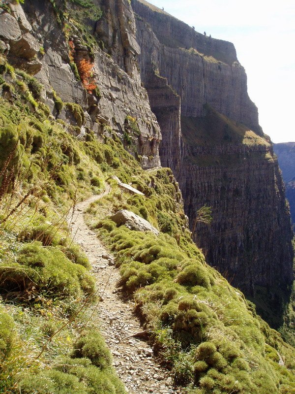 Fajeta erlaitzera bidean