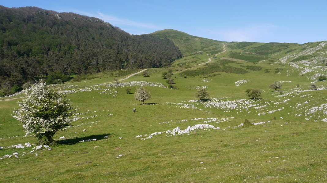 Frantseserreka aldetik ikusita