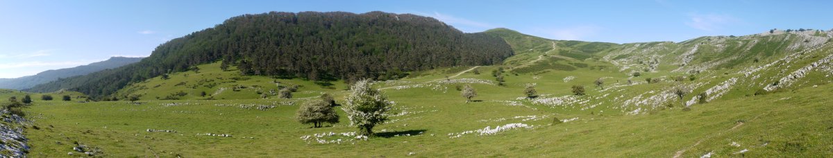 Frantseserreka aldetik ikusita