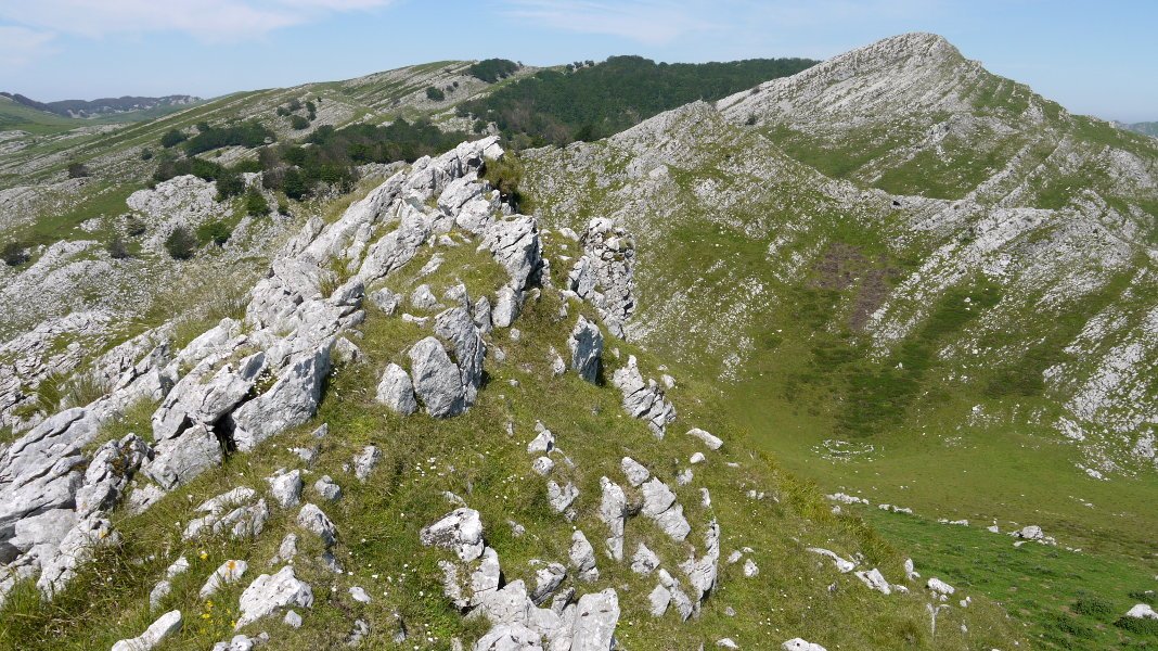 Tontorra ezkerrean, Ttutturre eskubi aldean