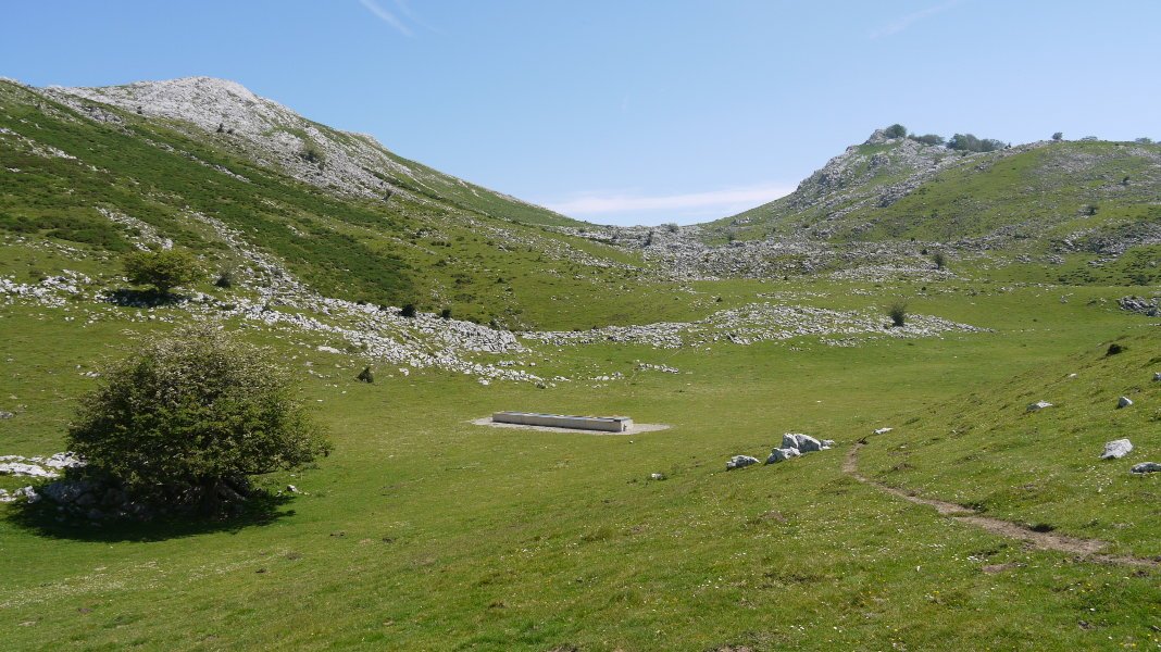 Abereentzako aska, Hegoaldean