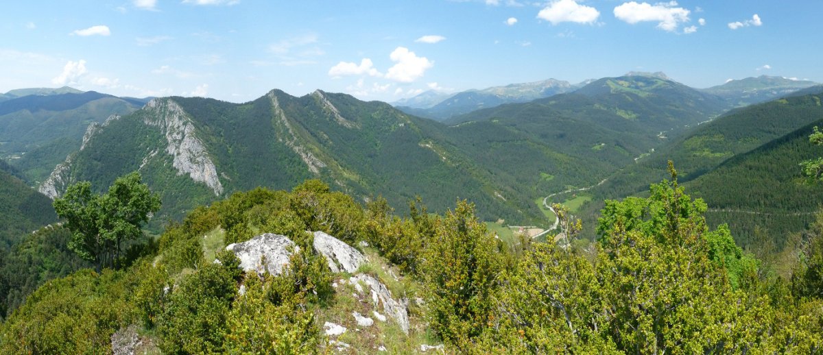 Belagoa Sanzoloko gandorretik