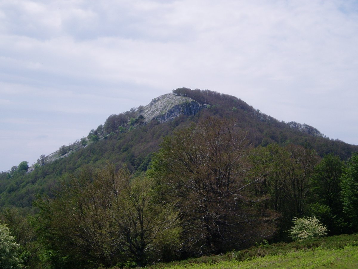 Errenagatik Putxerri eta pagadia erreta