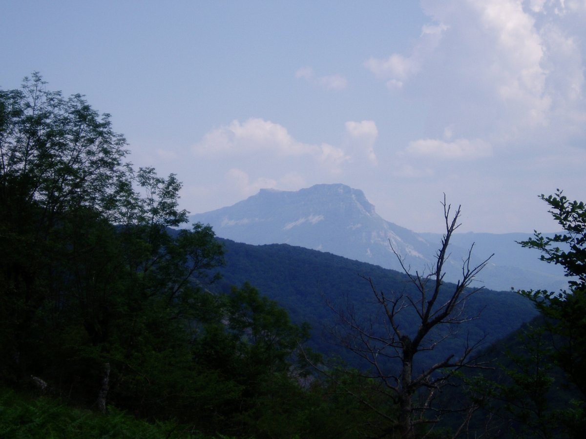 Irupagoeta-Lizarrusti: Beriain