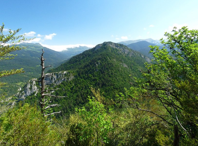 Sanzolo, Belabarsaitsatik