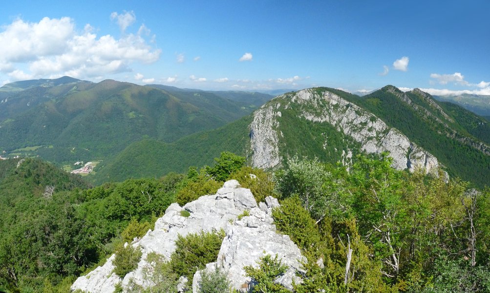 Belabarsaitsako mendebaldeko gandorrean gora