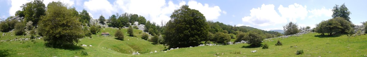 Bustintzako inguruak