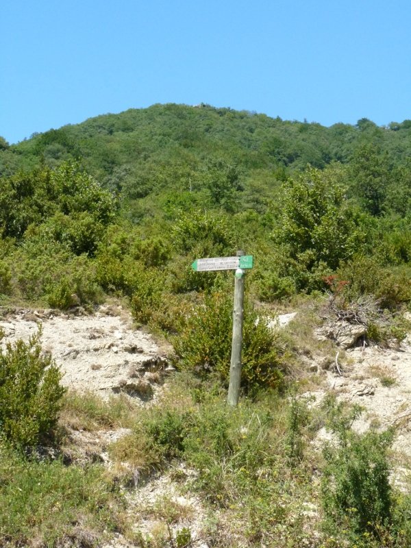 Arburuako behatokiaren adierazgarria