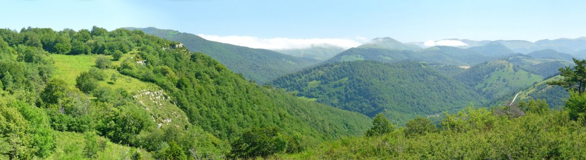 Arburuako behatokia eta Iratiko gainak Aitzatik