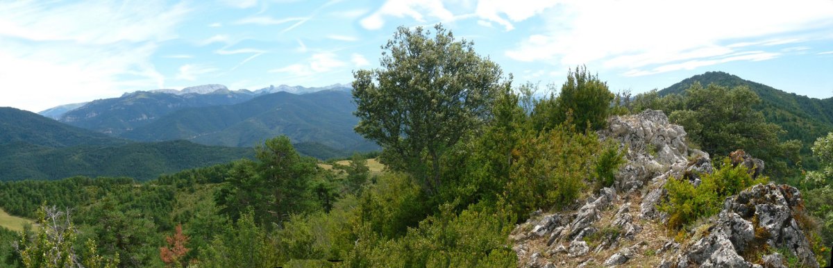 Elizarenako gailurra. Atzean, Pirinioak