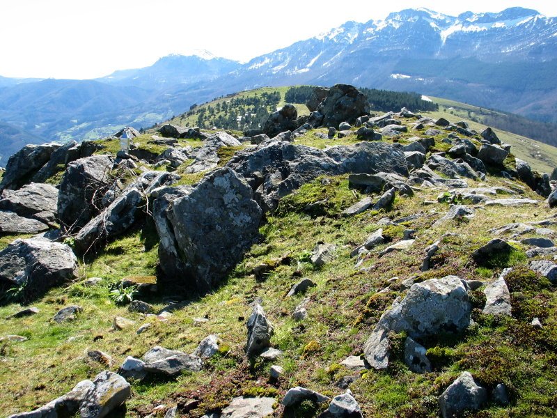 Oamendiren gainetako bat