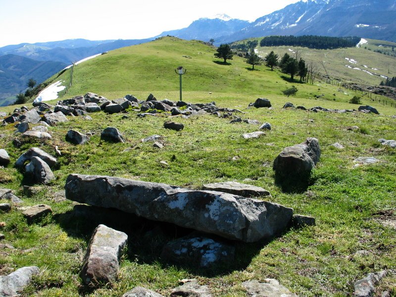 Oamendiko gaina eta trikuharria