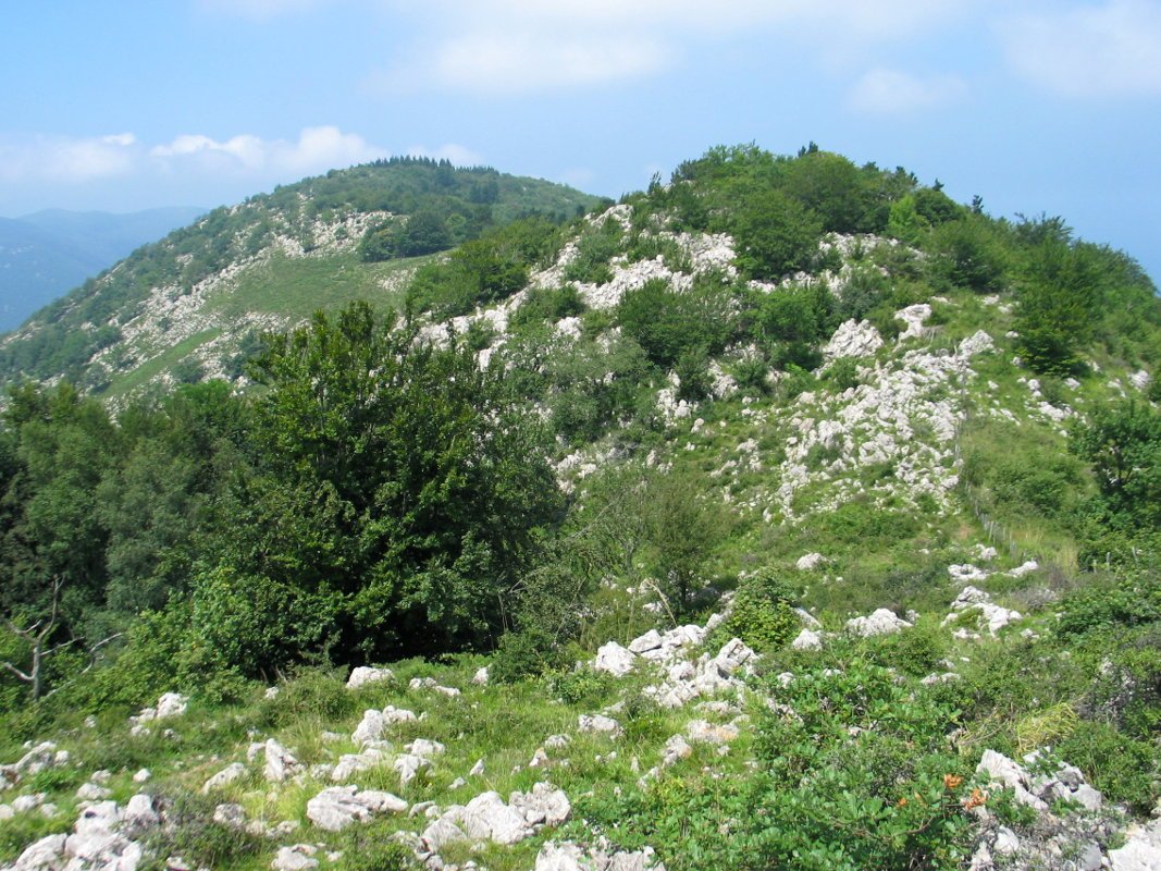 HEko azken muinotik ikusita