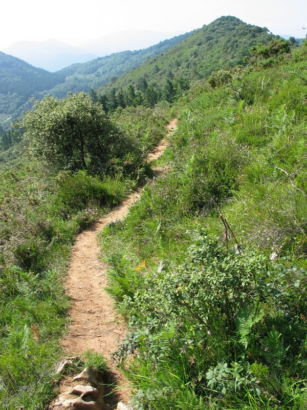 Igoerako pasarte bat