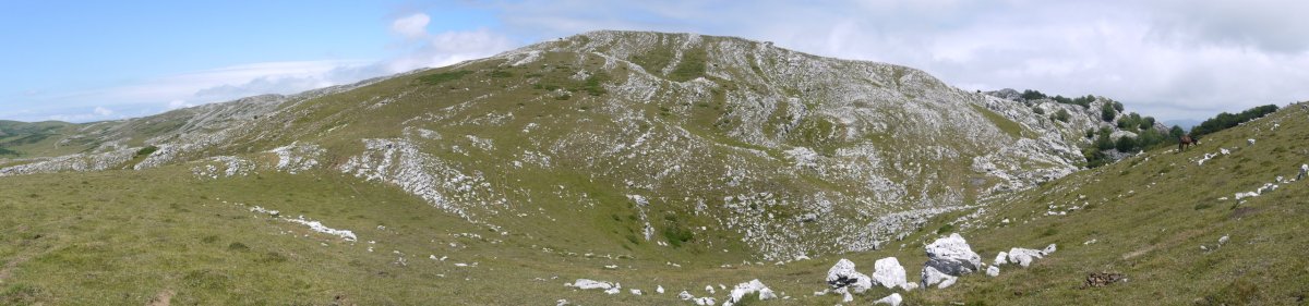 Hegoekialdetik ikusita