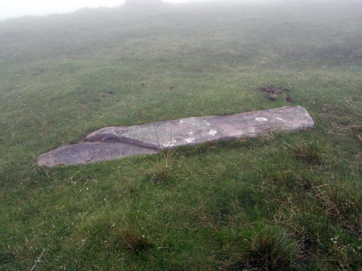 ARTXUBIETAKO BIZKARRA