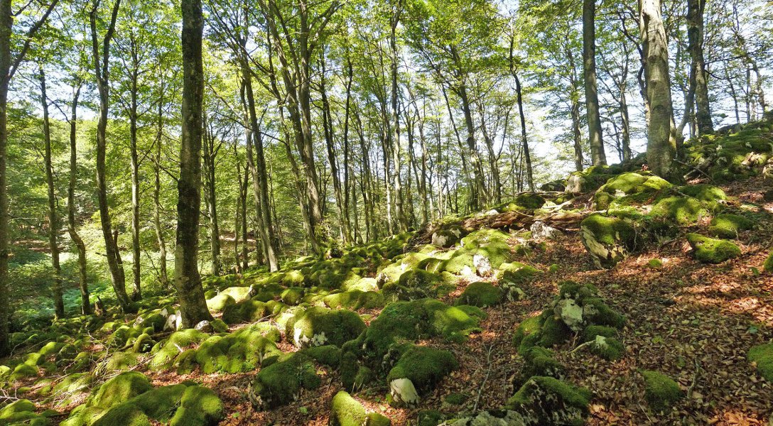 Goiko Soroko lapiaza