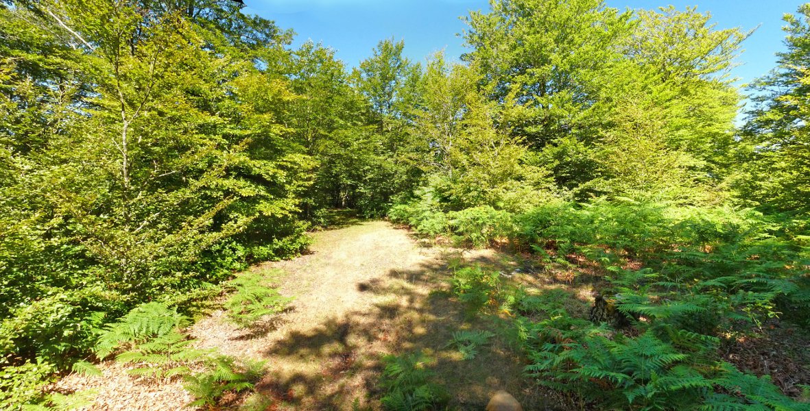 Irumugarrietako gailurra