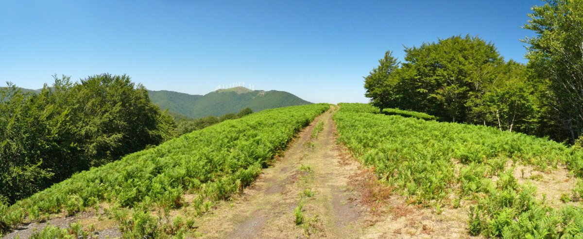 Orobikolarreko gailur zabala