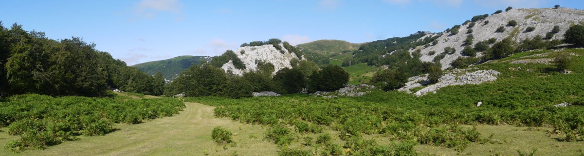 Urratxa eta inguruak