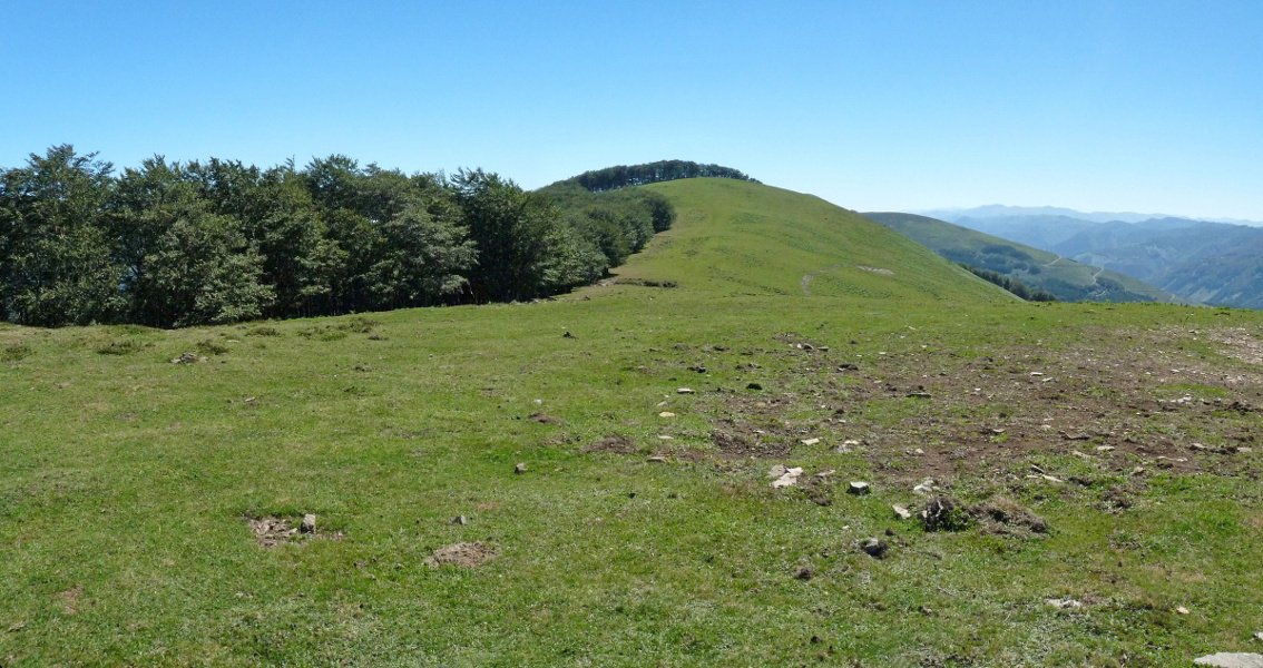 Eguzkiko muinoa Petriketatik